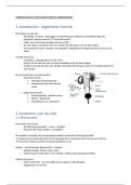 Morfologie & Histologie Nier &vert; MFP &vert; KU Leuven &vert; 2025&sol;26