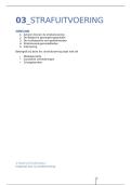 &NewLine;SAMENVATTING HOOFDSTUK 3 &vert; Inleiding tot de justiti&euml;le organisatie &vert; Criminologie - UGent &vert; JAAR 1 - SEM 2&NewLine;