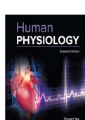 Human Physiology 16th Edition Stuart Fox Test Bank &ndash; Chapter-by-Chapter Review & Exam Prep&NewLine;