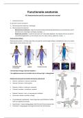 Functionele Anatomie H1&colon; Anatomische taal & Locomotorisch stelsel &vert; UHasselt &vert; 2025&sol;26