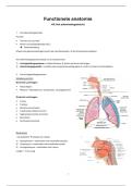 Functionele Anatomie H3&colon; Ademhalingsstelsel &vert; UHasselt &vert; 2025&sol;26