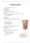 Functionele Anatomie H4&colon; Gastro-intestinaal stelsel &vert; UHasselt &vert; 2025&sol;26
