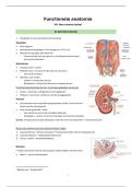 Volledige samenvatting Functionele Anatomie &vert; 1ste bach BMW 2025&sol;26 &vert;