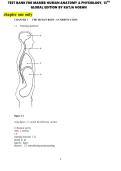 MARIEB HUMAN ANATOMY & PHYSIOLOGY&comma; 13TH&lpar;GLOBAL EDITION &rpar; BY KATJA HOEHN Chapter One Well covered questions and answers 100&percnt; A&plus;