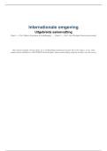Samenvatting Internationale omgeving &vert; TEW &vert; UA &vert; 2025&sol;26