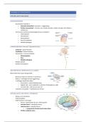 Neuroanatomie &vert; Neurowetenschappen &vert; UA &vert; 2025&sol;26