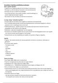 Aantekeningen Ontwikkelingspsychologie colleges 5 t&sol;m 7&vert; RUG &vert; 2025&sol;26