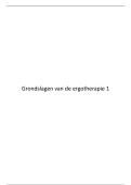 Grondslagen van de Ergotherapie &vert; HT1 &vert; VIVES &vert; 2025&sol;26