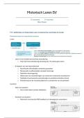 Motorisch Leren &vert; Controle & Theorie&euml;n &vert; KU Leuven &vert; 2025&sol;26