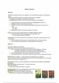 VWO Biologie Thema 3 - Genetica 