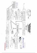 VWO Biologie Thema 8-Gredrag en Thema 11-Planten
