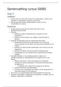 Samenvatting GIEBS UGent &vert; 2025&sol;26