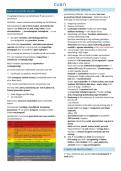 EHBO theorie &sol; V-lijn I