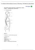 Test Bank for Marieb Human Anatomy & Physiology&comma; 13th Edition &ndash; Katja Hoehn &vert; Exam Questions & Answers PDF 2026 Update