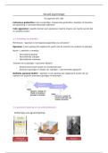 Sociale psychologie H3 &vert; Agressie &vert; Hogeschool PXL &vert; 2025&sol;26
