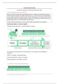 Sociale psychologie H6 &vert; cognitie en perceptie &vert; Hogeschool PXL &vert; 2025&sol;26