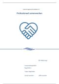 Beroepsproducten Module 6&period;1 en 6&period;2 en 6&period;3 