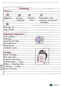 Comprehensive English Language Guide&colon; Mastery of Summary Writing and Textual Analysis                                     