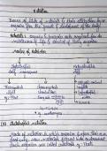 Biology Study Materials &vert; HAVO &vert; 2025&sol;2026