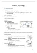Summary Nervous System &vert; Human Physiology &vert; KU Leuven &vert; 2025&sol;26