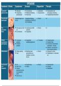 Pathologie NKO &vert; Ghent University &vert; 2025&sol;26