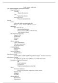 NUR 210&comma; 242 -Exam 3 Pharm Study Guide &lpar;100&percnt; correct&rpar;&period;