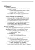 Theoretical Psychology &vert; colleges &vert; Radboud &vert; 2025&sol;26