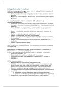 Brain & Cognition 2 &vert; Klinische Neuropsychologie &vert; RU Nijmegen &vert; 2025&sol;26