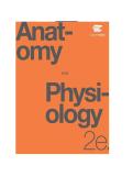 TEST BANK FOR Anatomy and Physiology 2Edition by OpenStax ISBN&colon; 978-1711494067 COMPLETE GUIDE ALL CHAPTERS COVERED 100&percnt; VERIFIED A&plus; GRADE ASSURED&excl;&excl;&excl;&excl;&excl; NEW LATEST UPDATE&excl;&excl;&excl;&excl;&excl;