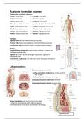 Samenvatting - anatomie Inwendige Organen &vert; 1e Ba Biomedische Wetenschappen &vert; 