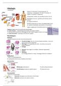 Samenvatting - Histologie &vert; 1e Ba Biomedische Wetenschappen &vert; UA &vert; 