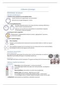 Samenvatting - Cellulaire fysiologie &vert; 2e Ba Biomedische Wetenschappen &vert; 2023-2024 &vert; UA 