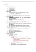Urologie &vert; Algemene medische zorg &vert; Arteveldehogeschool &vert; 2025&sol;26