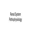 WGU D236 &colon; Renal System Pathophysiology &vert; Correct Questions and Answers