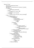 Basisverpleegkunde 1 &vert; Methodisch werken &vert; Arteveldehogeschool &vert; 2025&sol;26