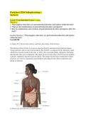 WGU D236 &colon;Pathophysiology Worksheet &ndash; Section 6  Lesson 9 Gastrointestinal System Learning Objectives &vert; 2026 Update&NewLine;