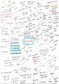 OCR GCSE PE Paper 2 Mind maps on every topic&period;