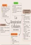 Fiche compl&egrave;te sur la respiration cellulaire &period;