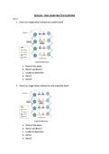 BCH 2333 -Final Exam Quiz 1 &vert; Updated &vert; New edition&vert; 100&percnt; correct&vert; University of Ottawa