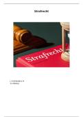 Volledige Beginselen Strafrecht &lpar;cijfer 7&rpar; &vert; VU Amsterdam &vert; 2025&sol;26