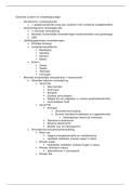 Chirurgische zorg &vert; Geriatrie &vert; Arteveldehogeschool &vert; 2025&sol;26