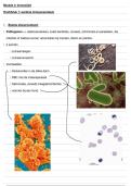 Module 4&colon; Immuniteit &vert; Natuurwetenschappen &vert; 3e graad &vert; 2025&sol;2026