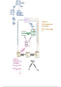 Component 1&comma; energy for life - NITROGEN CYCLE 