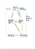 Eduqas a level biology paper 1- energy for life 