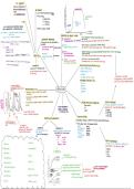 Component 1&comma; energy for life- POPULATIONS 