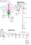 Component 2 - continuation of life - PLANT REPRODUCTION