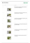 Bio 235 Final Exam Comprehensive Questions &lpar;Frequently Tested&rpar; and Complete Solutions Graded A&plus;