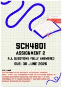 SCH4801 Assignment 2 Memo &vert; Due 30 June 2026
