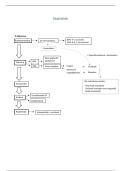 Statistiek Handleiding &vert; Klassen & Hercodering stappenplan voor examen&vert; VIVES &vert; 2025&sol;26