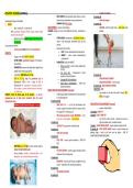 Galen's Maternal and Pediatrics &lpar;NUR 254&rpar; &vert; Complete Exam Concept Review Guide - Latest Summer 26&sol;27 Updated&period;